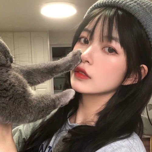 头像女生与猫真的是太美好了吧