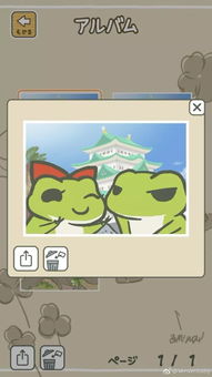 佛系漫画旅行青蛙和它小女友的日常又拍了我一脸的蛙粮
