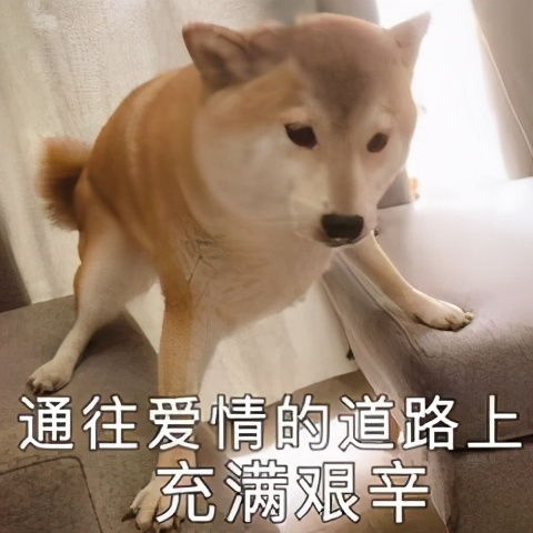 婚姻不易且行且珍惜那些为体面而硬抗的明星夫妻档