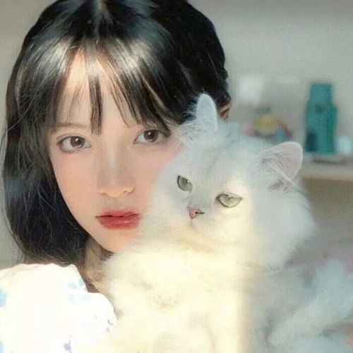 心动女头小众又温柔的文案