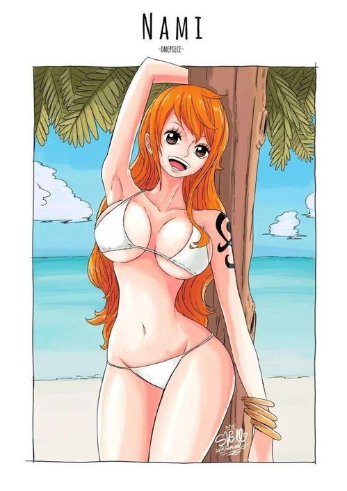 海贼王壁纸美丽动人
