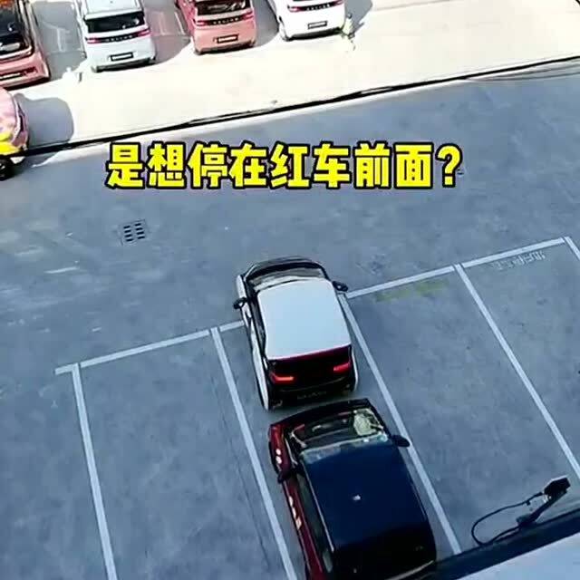 女司机奇葩停车方式,结局出乎意料,女人的脑回路果然与众不同