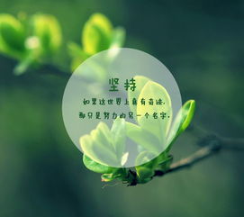 让生命充满正能量的五大秘密