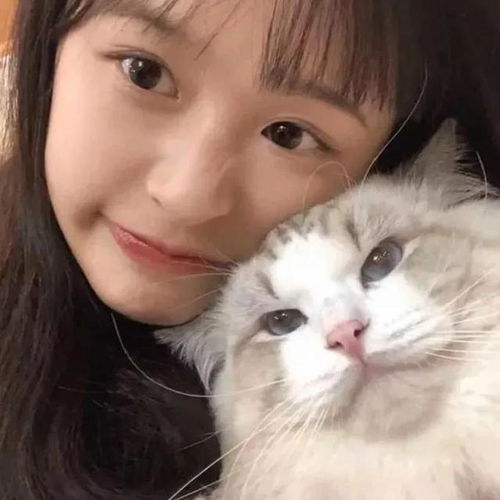 抱猫女头与你撞个满怀