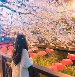 心理学你最喜欢哪个女生的背影测近来一是什么问题困扰着你