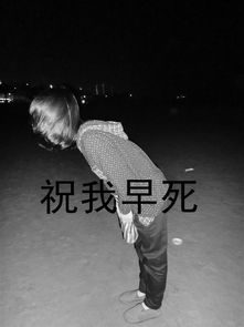 美图图,潮流时尚