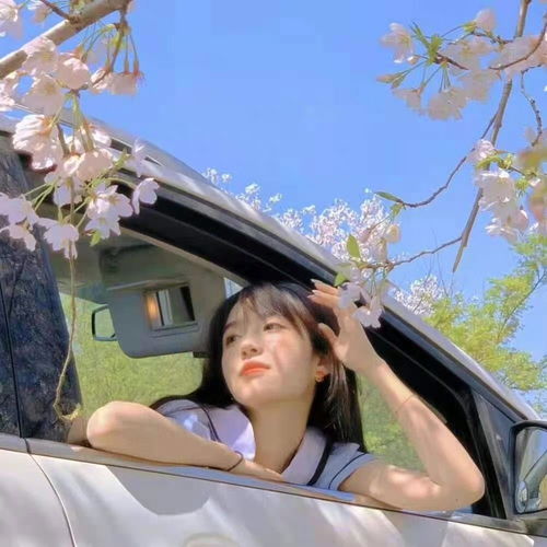 干净女头人来人往向着温柔