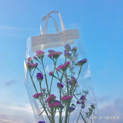 大家有哪些以绿色,天蓝色,暖黄色为背景色的头像吗比如森林系