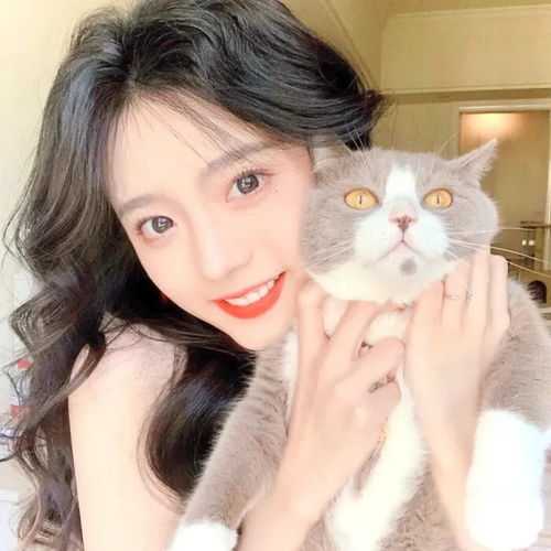 抱猫女生头像你有可爱的猫猫嘛你没有我有嘿嘿