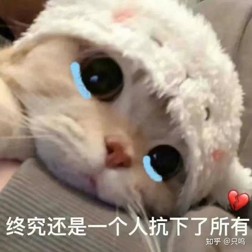 女朋友不肯脱鞋是什么意思