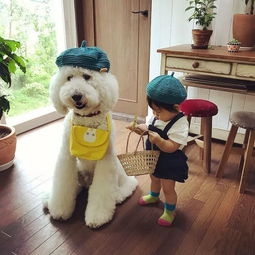 日本奶奶晒小孙女与两只狗狗的日常照,萌翻无数网友