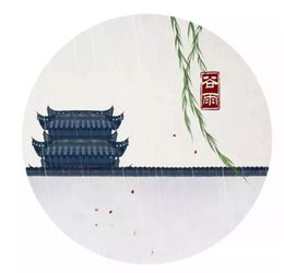 今日谷雨