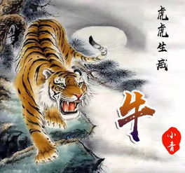 1986年属虎女微信头像运程