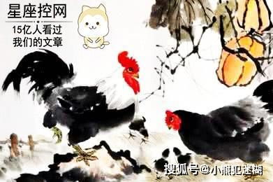 娶到这三个生肖女,等于娶贵人,此生已经成功了一半