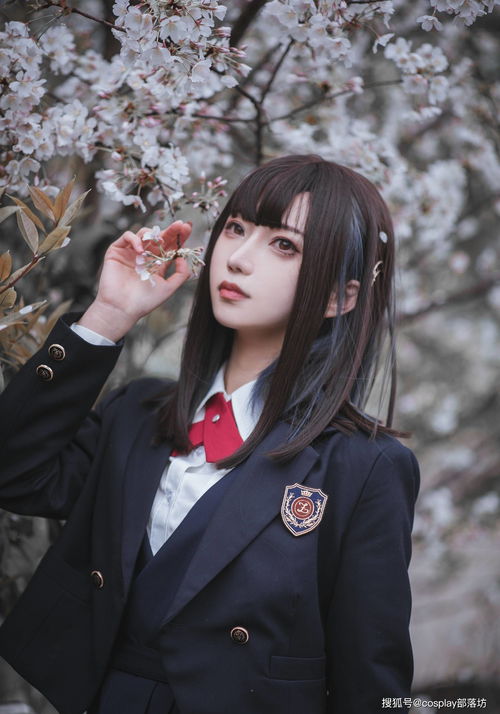 jk少女樱花树下有你曾经的身影