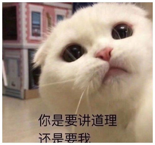 幽默笑话表姐也真是的,成年肯定是基本的啊,这还用强调么