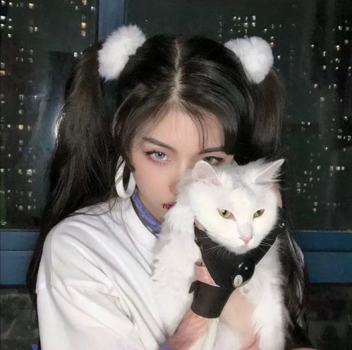 头像抱猫女头