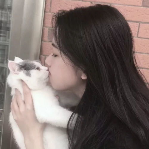 表情少女和喵,美得让人沦陷啊表情