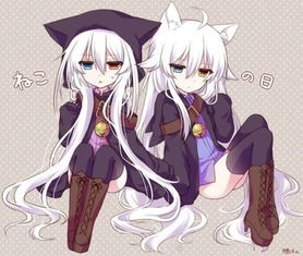 白发异瞳的少女