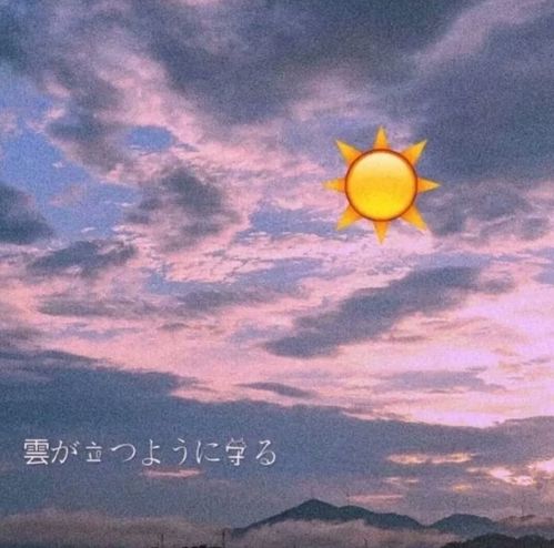 没有名字,只有甜甜的少女心