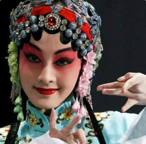 梦中的那片海一脸苦相却要演第一美女,谁的审美出了问题