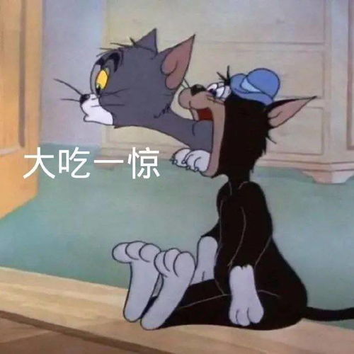 每日精选沙雕表情包