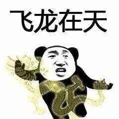 沙雕搞怪的趣味小表情包
