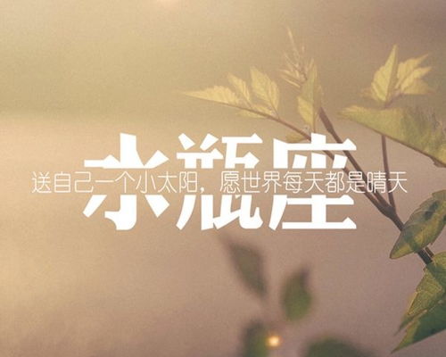 有品味的头像女水瓶座