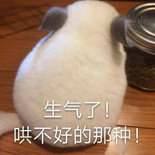 微信头像女生专用头像表情包