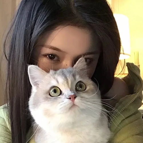 温柔风.女生头像