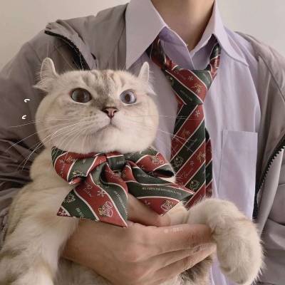 qq情侣头像猫一对两张