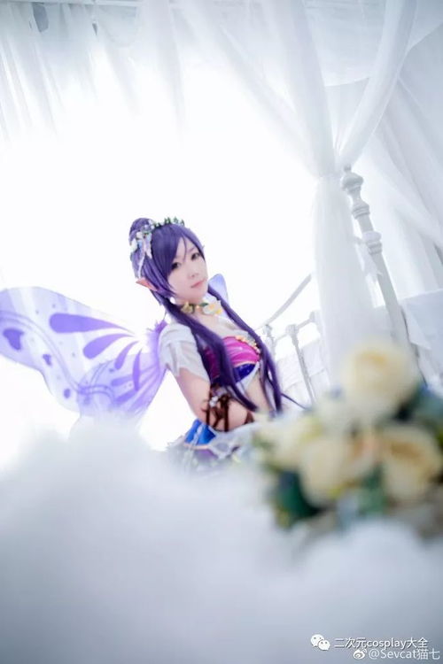 lovelive花妖精南小鸟,东条希cos纯美漂亮的小仙女