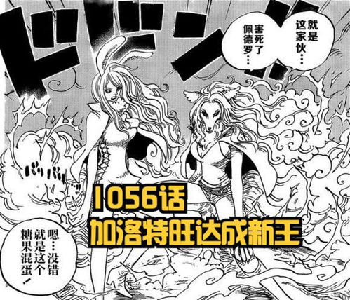 海贼王1056话真情报震撼七武海抱团,小忍变美,大和上船失败