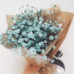 浪漫满天星插花来绿地邂逅优雅春日时光