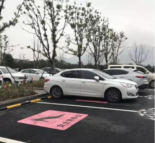 女司机技术差女性专用停车位,是优待还是性别歧视