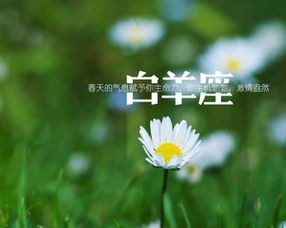 可以认错道歉,但不会低头退让的星座