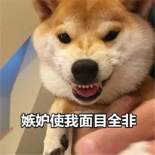 脸那么臭,却又那么受欢迎