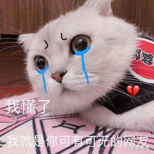 为什么网恋男朋友奔现都不公开