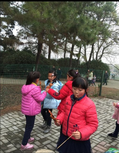 合肥市芙蓉小学