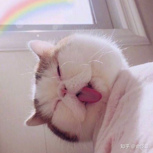 有什么高效的学习方法推荐吗