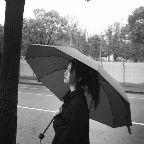 有个性高冷霸气的句子,很拽很叼很冷的句子