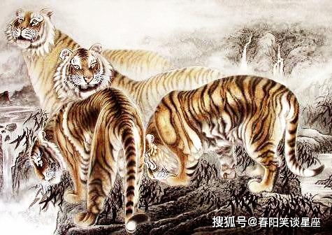 魅力十足的3生肖女,深受男人青睐,桃花一直相伴