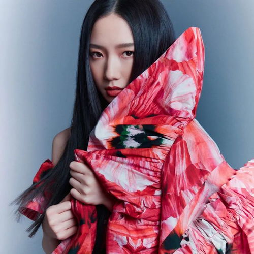 头像双标才是人类的本质