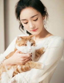 少女幂俯身逗猫秀美腿粉丝好想做杨幂怀里的一只喵