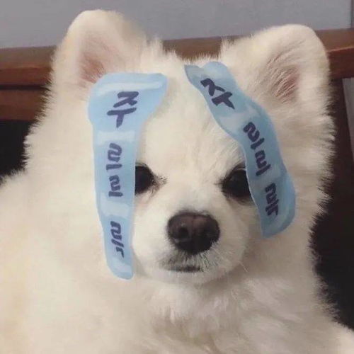 一组敲赞的头像合集,请签收