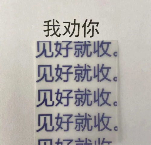 好玩趣味沙雕表情包