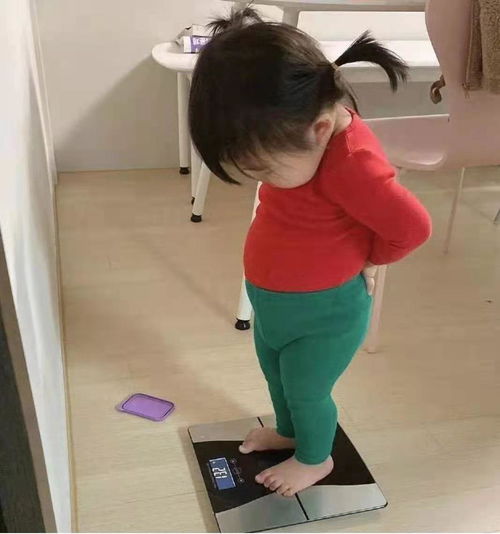牛宝宝孕妈群分享日常