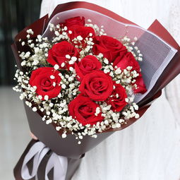 道歉送花选择什么比较好