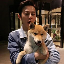林志颖潘玮柏同框岁月真的是把杀猪刀吗