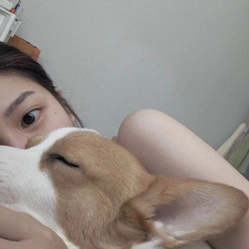 头像女小众ins不露脸山羊